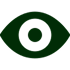 Vision Icon